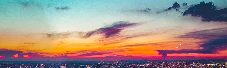 玉林茶虫网_玉林品茶